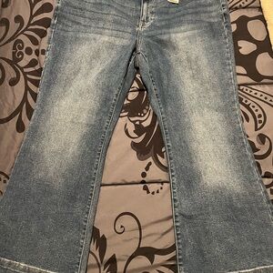 Lane Bryant Blue Jeans